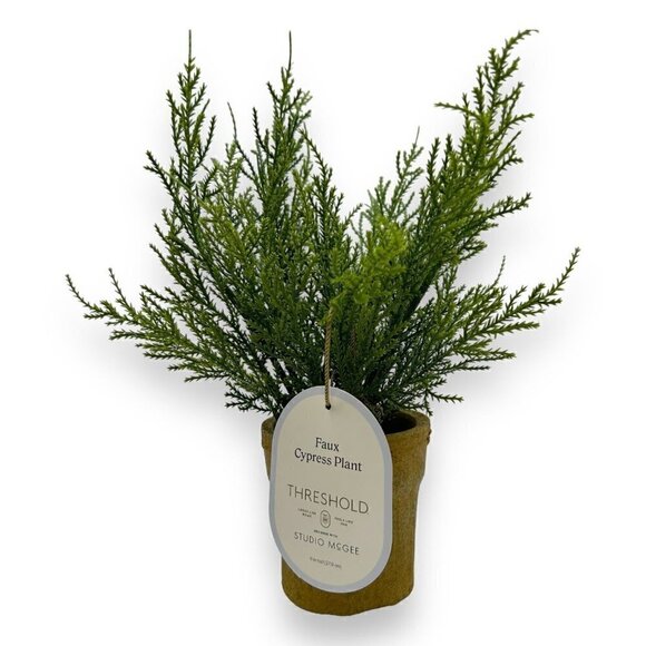 Studio McGee Small Potted Cypress - Threshold - Picture 6 of 7